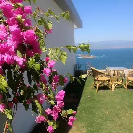 Вилла Bodrum Adabuku Luks 2 1 Ozel Plaj Ve Havuzlu *