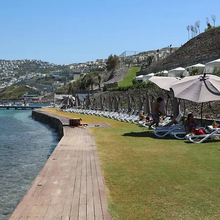 Bodrum Adabuku Luks 2 1 Ozel Plaj Ve Havuzlu